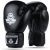 HMS Boxerské rukavice DBX BUSHIDO ARB-Black 14 oz.