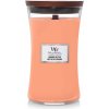 WoodWick Manuka Nectar vonná sviečka s dreveným knôtom 609,5 g