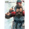 Street Fighter IV / Super Street Fighter IV Official Complete Works (Capcom)