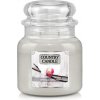 Country Candle Vanilková orchidej 453 g