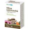 PLUS LEKÁREN Hliva ustricovitá cps (+ Echinacea + rakytník + selén + zinok) 1x60 ks