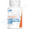 Alavis MSM + Glukosamin sulfát pre správnu funkciu šliach a kĺbov u psov 60 tbl