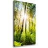 Vertikálny foto obraz na plátne Slnko v lese 50x100 cm