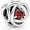 Pandora 790065C01