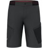 Salewa Pedroc 3 DST Cargo Shorts black out, vel.: L