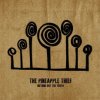 Pineapple Thief - Nothing But the Truth / Live / Vinyl / 2LP [2 LP]