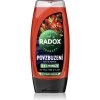 Radox Men Invigorating sprchový gél pre mužov 3v1 225 ml