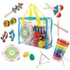 EcoToys Súprava hudobných nástrojov v taške - 14 nástrojov