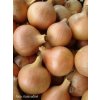 Cibuľa sadzačka - VŠETANA 8/21 mm 500g