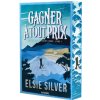 Gagner à tout prix - broché - Tome 01 (Elsie Silver)(Brožovaná)