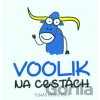 Voolik na cestách - Tomáš Rychetský