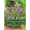 Léčivé byliny v květináči a na zahradě - Heide Bergmann, Ulrike Armbruster