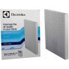 Electrolux EF114 filter