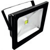 Eurolite LED IP FL-50 COB UV