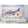Samolepiaca vliesová fototapeta Osobné lietadlo 375 x 250 cm
