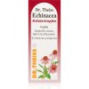 Dr. Theiss Echinacea kapky bylinné kvapky na podporu imunitného systému 50 ml