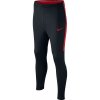 Nike Dry Academy Junior 839365-019 football pants (46312) S