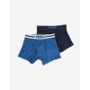 Puma Placed Logo Boxer 2P M 906519 01