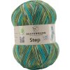 Austermann Step 4 Color 265 Pletacia priadza
