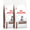 ROYAL CANIN VHN DOG GASTROINTESTINAL PUPPY 2 x 10 kg