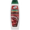 Palmolive Brilliant Color šampón 350ml