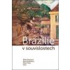 Brazílie v souvislostech - Šárka Grausová, Alena Rudolfová, Milan Tichý