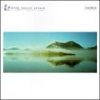 Flying Saucer Attack, CHORUS, CD