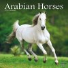 Arabian Horses, 30,5 x 30,5 30,5 x 61 cm 2026