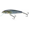 Salmo Minnow M5S Spirlin 5 cm 5 g Salmo