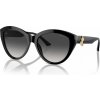 Jimmy Choo JC5007 50008G