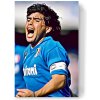 Diego Maradona obraz na plátne
