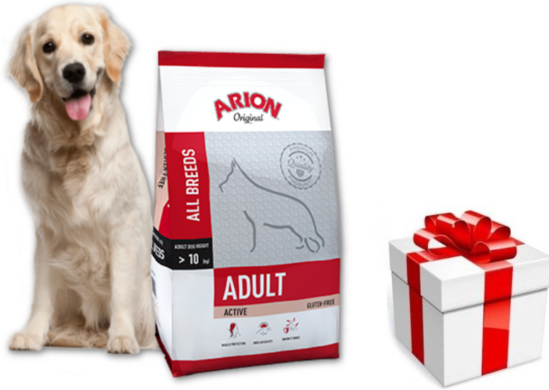 Arion Dog Original Adult Active All Breeds 12 kg