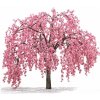 Okrasná jabloň Royal Beauty na kmienku, výška 90-110 cm, kvetináč 2 l