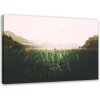 Obraz na plátně Tráva Ptáci Horská zeleň - 90x60 cm