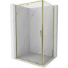 Mexen Exo, výklopný sprchový kút 140 x 100 cm, číre sklo, zlatá, 819-140-100-50-00