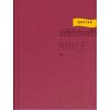 Bible ČEP s DT, velký formát, vínová