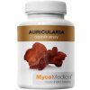 MycoMedica vitálne huby Auricularia 90 kapsúl