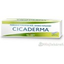 Cicaderma ung.der.1 x 30 g