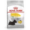 ROYAL CANIN Mini Dermacomfort 1-3-8 Kg - 1 Kg