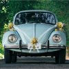 Chaks Dekorácia na auto s mašľami - Golden Bow