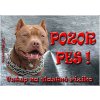 Pozorpes.sk, výstražná tabuľka (Americký pitbulteriér)