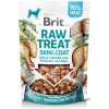 Brit RAW TREAT Skin & Coat. Freeze-dried treat and topper. Fish&Chicken 40 g