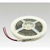 NBB LED pásik NBB 12V 240LED/m SMD3528 6000K IP20 19,2W/m 903003050