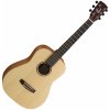 Cort Earth Mini