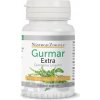NástrojeZdravia GURMAR EXTRA GYMNEMA SYLVESTRE cps 1x60 ks