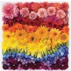 Galison Puzzle Dúhové kvety 500 dielikov