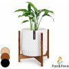 Fox & Fern Zeist, stojan na rastliny, 2 výšky, kombinovateľný, zásuvný dizajn, prírodný (PS-ACACIA-XL)