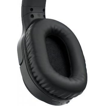 Sony MDR-RF895RK