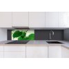 DIMEX | Dibond doska za kuchynskú linku | DBW-08040-010 Zelené listy| 80 x 40 cm + Dibond obkladová doska Dimex do kuchyne Zelené listyv rozmere 80 x 40 cm + lepidlo zadarmo