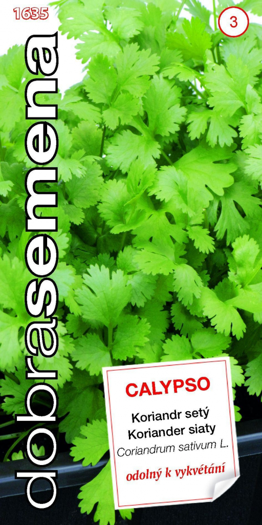 Dobré semená Koriander - Calypso 2g
